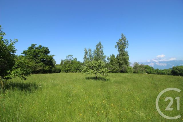 terrain - ST MARTIN D URIAGE - 38