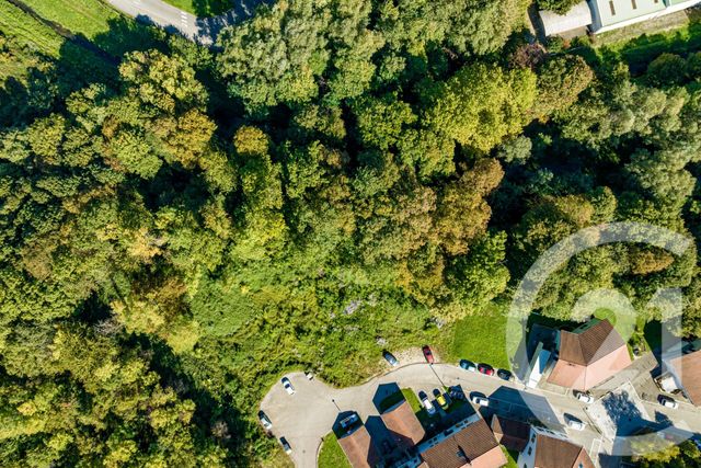 Afficher la photo en grand terrain à vendre - 1154.0 m2 - NOYAREY - 38 - RHONE-ALPES - Century 21 Victor Hugo